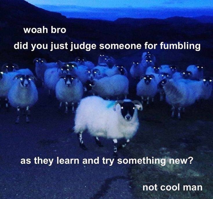 Sheep Meme